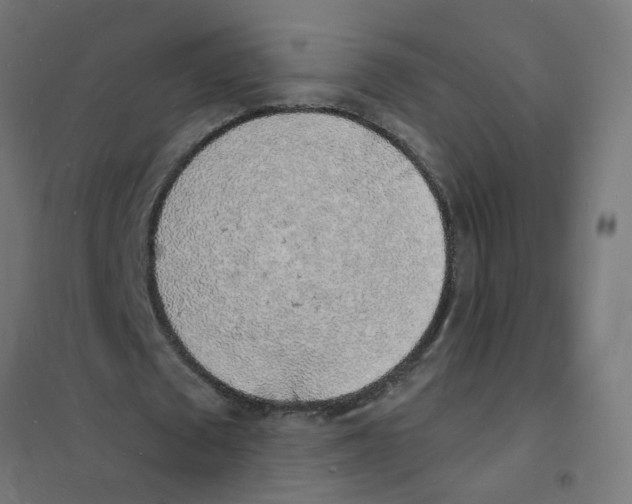 X0000101690673200808071135