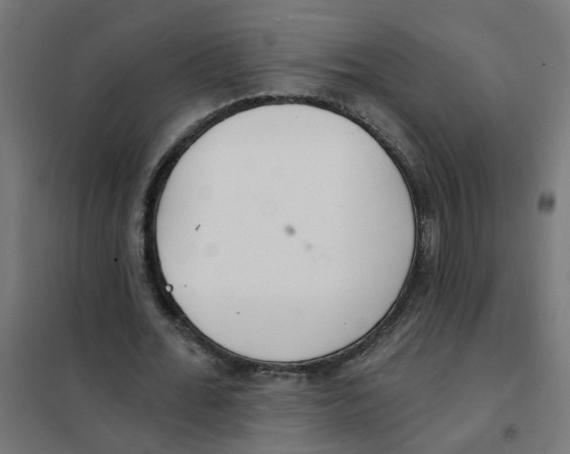 X0000101690676200808071135