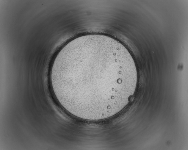 X0000101690677200808071135