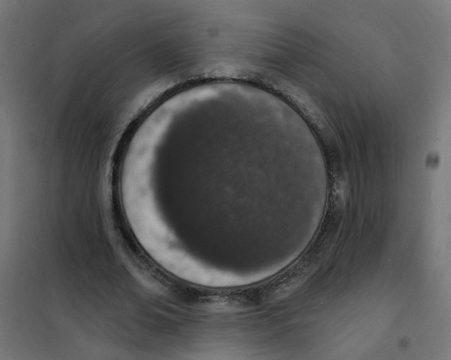 X0000101690678200808071135