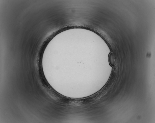 X0000101690680200808071135