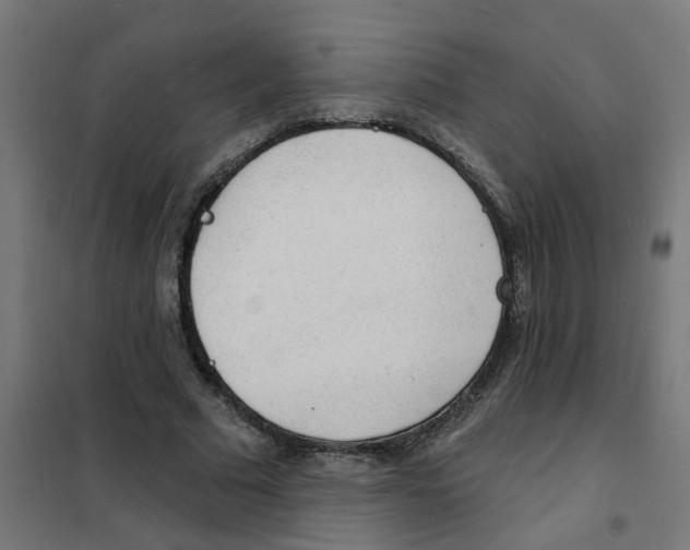 X0000101690681200808071135