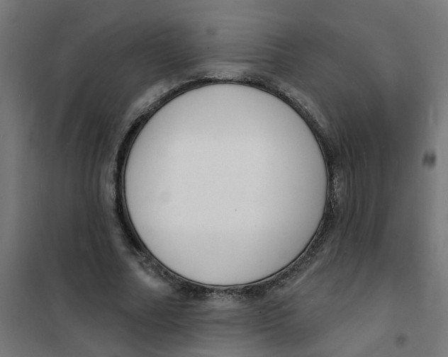 X0000101690682200808071135