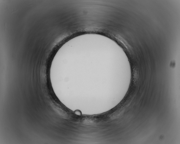 X0000101690684200808071135