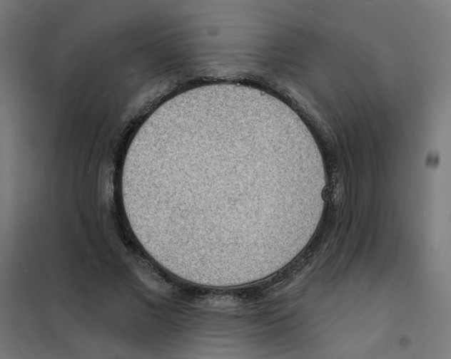 X0000101690685200808071135