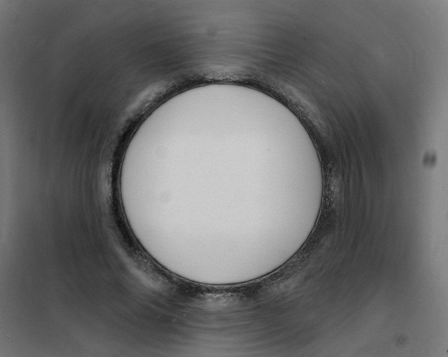 X0000101690686200808071135