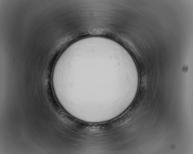 X0000101690687200808071135