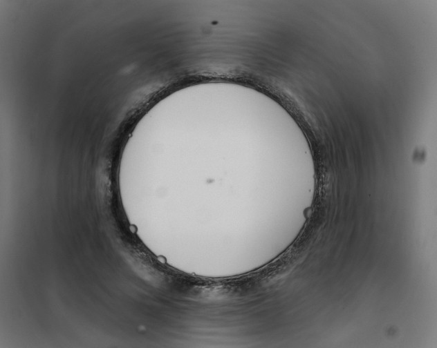 X0000101690688200808071135