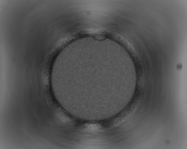 X0000101690689200808071135