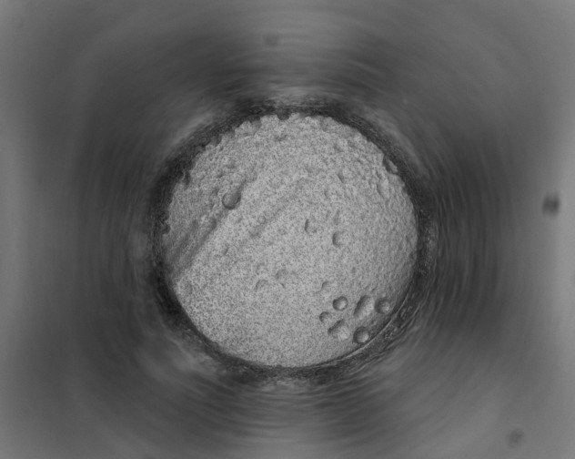 X0000101690691200808071135