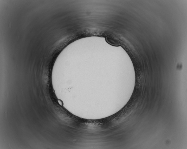 X0000101690693200808071135