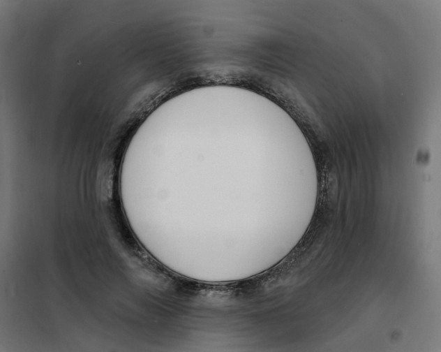 X0000101690694200808071135