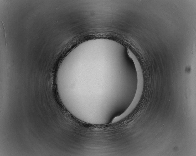 X0000101690697200808071135