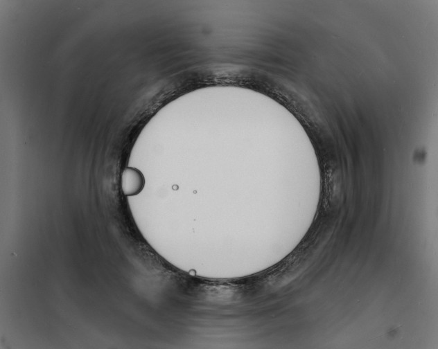 X0000101690698200808071135