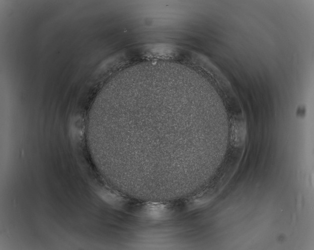 X0000101690701200808071134