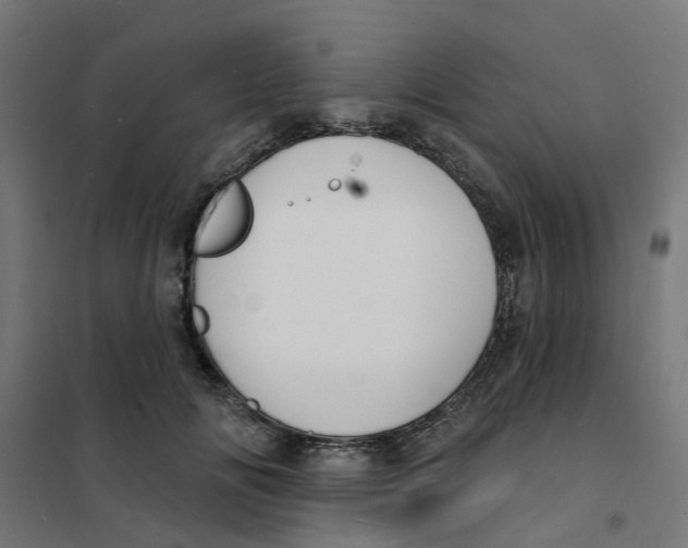 X0000101690702200808071134