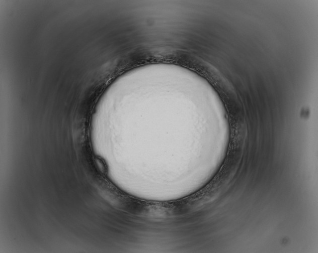 X0000101690703200808071134