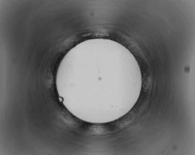 X0000101690704200808071134