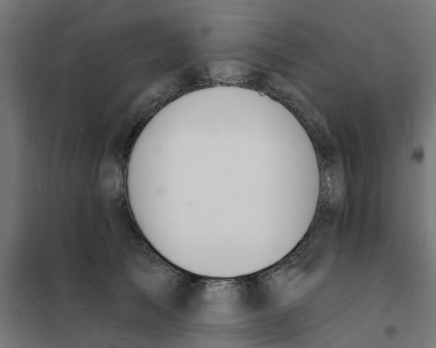 X0000101690705200808071134