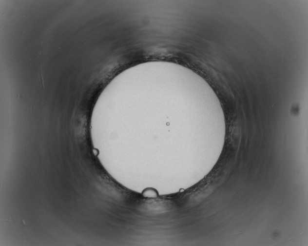 X0000101690708200808071134