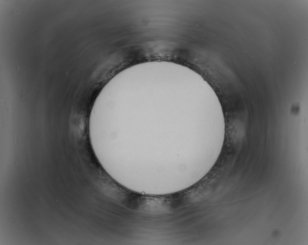 X0000101690709200808071134