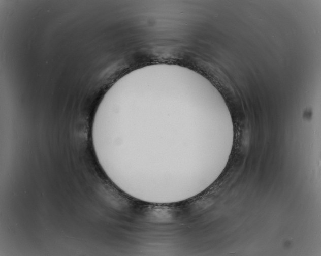 X0000101690710200808071134