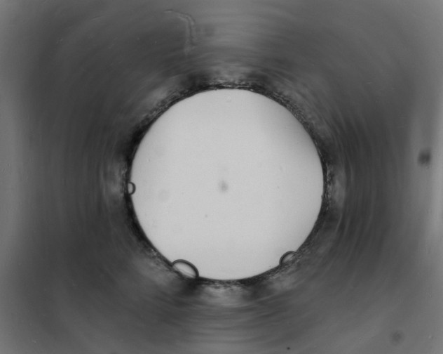 X0000101690712200808071134