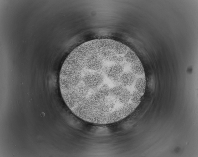 X0000101690715200808071134