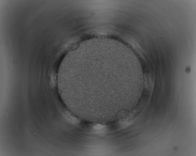 X0000101690718200808071134