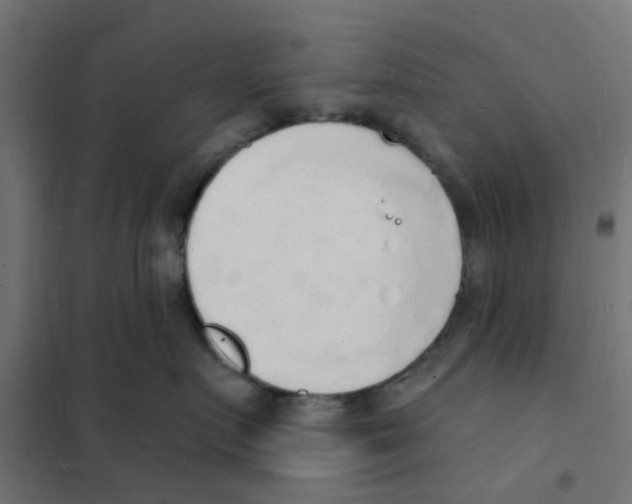 X0000101690719200808071134