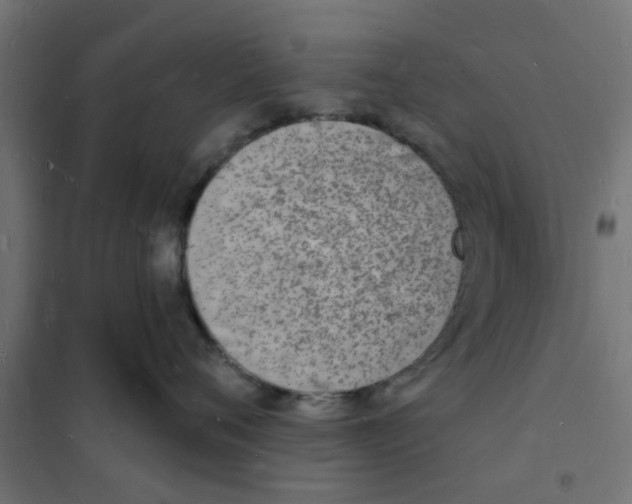 X0000101690720200808071134