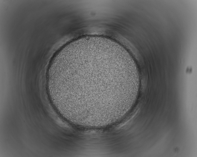 X0000101690721200808071133