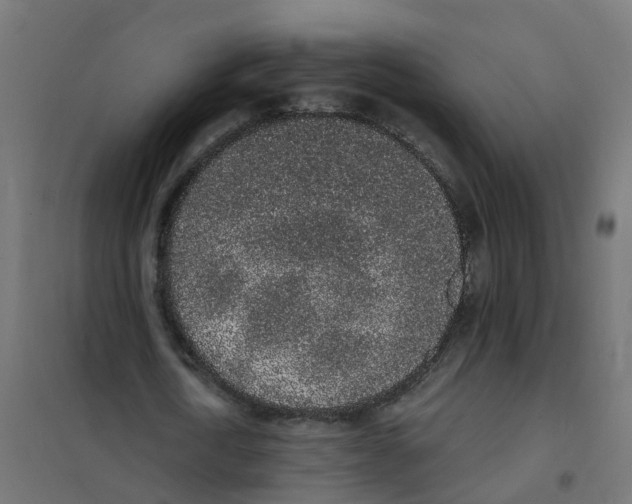 X0000101690722200808071133