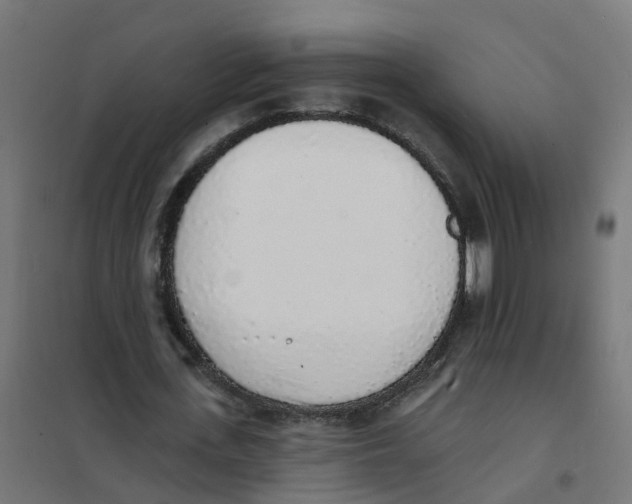 X0000101690723200808071133