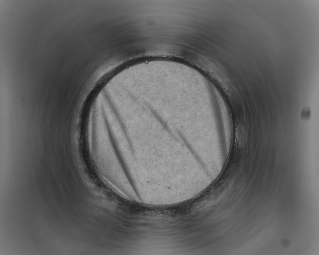 X0000101690724200808071133