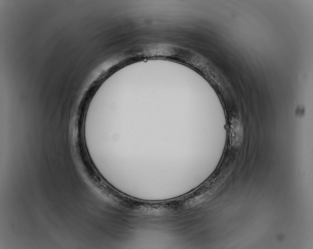 X0000101690726200808071133