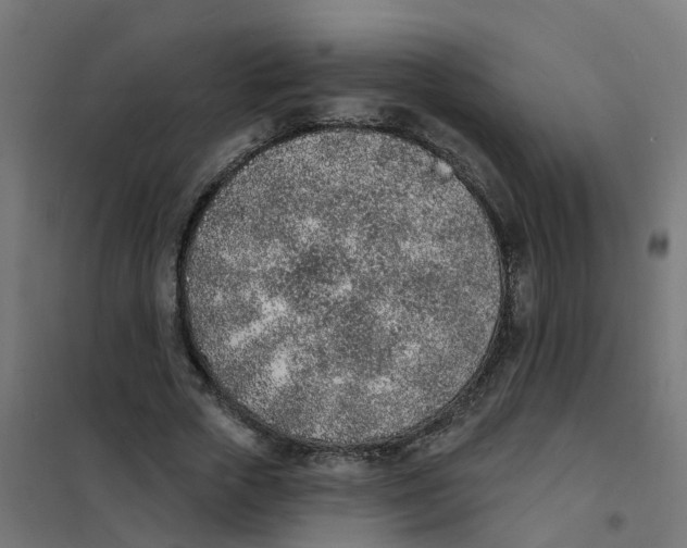 X0000101690729200808071134