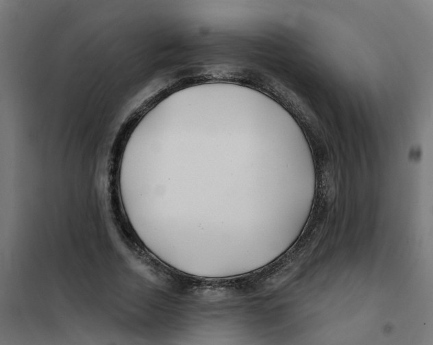 X0000101690730200808071134