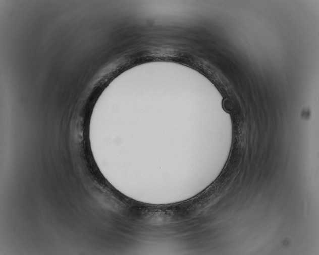 X0000101690731200808071134