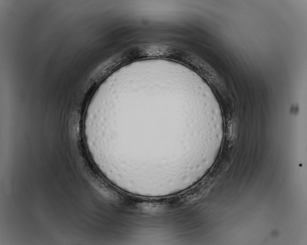 X0000101690733200808071134