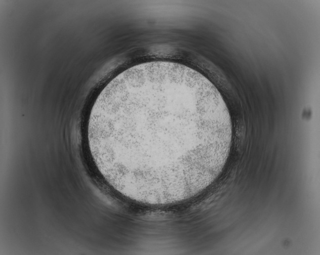 X0000101690734200808071134