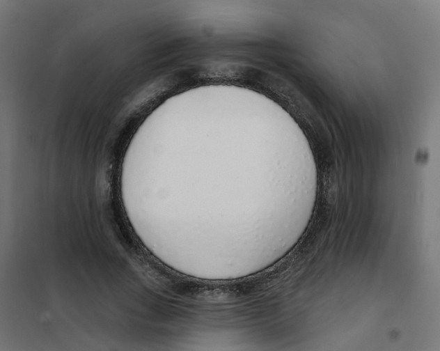 X0000101690735200808071134