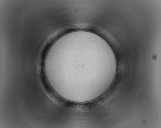 X0000101690736200808071134