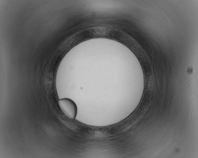 X0000101690737200808071134