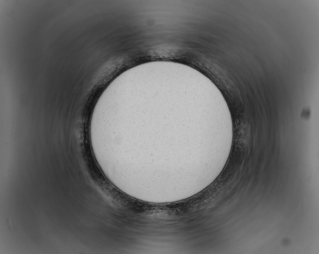 X0000101690738200808071134