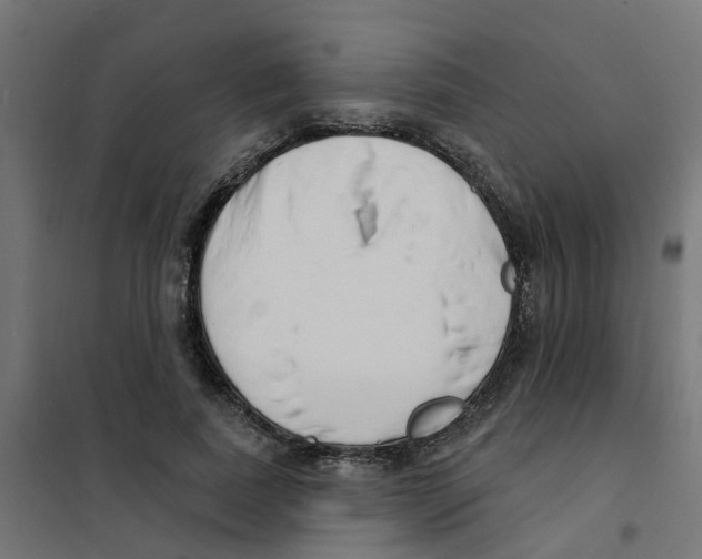 X0000101690739200808071134