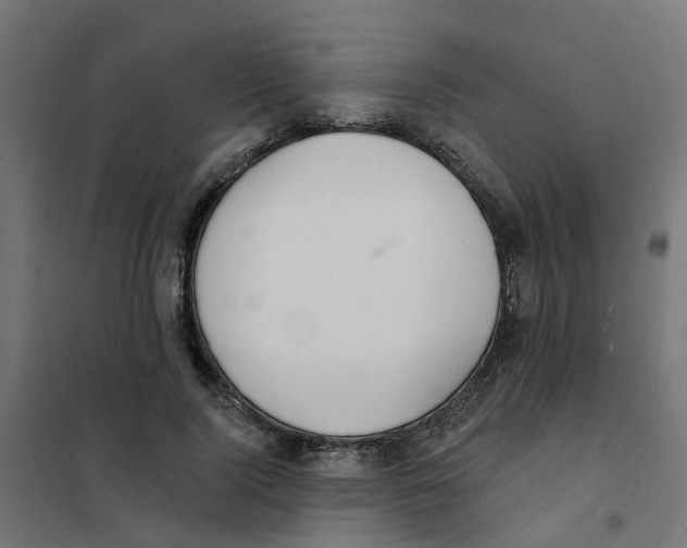 X0000101690740200808071134