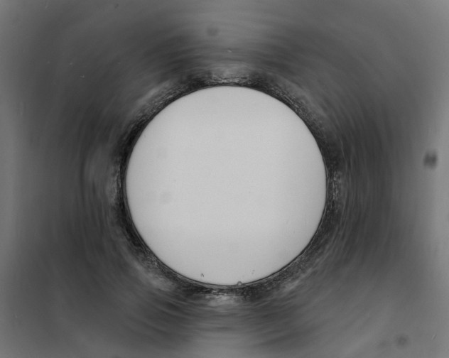 X0000101690741200808071134