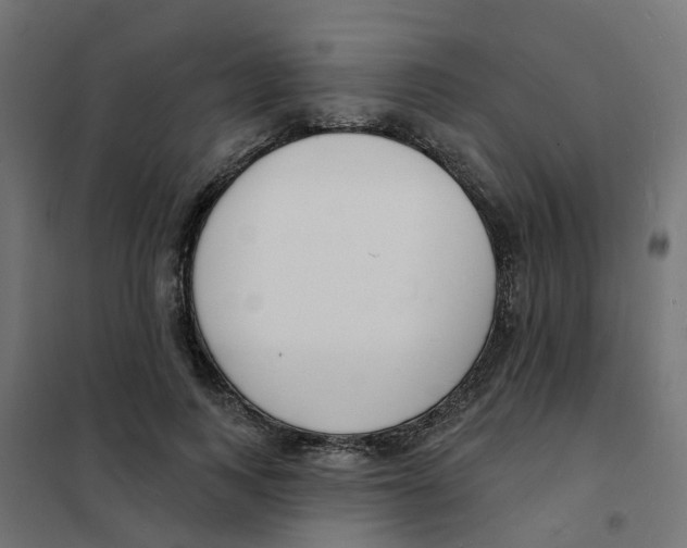 X0000101690743200808071134