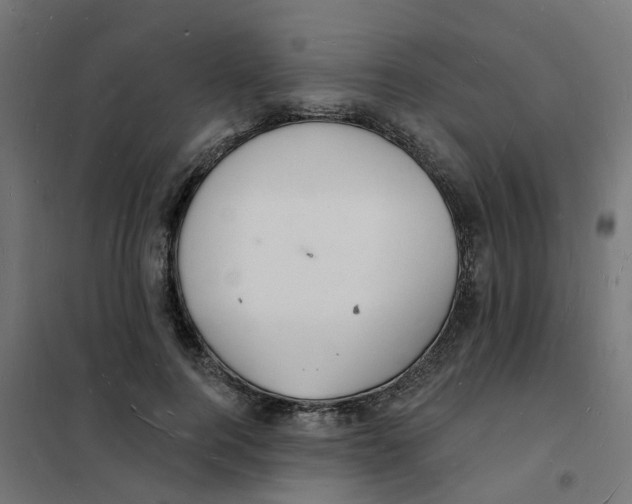 X0000101690744200808071134